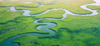 Revolutionierung der landwirtschaftlichen Bewässerung: Die Rolle von PVC-Rohren und -Formstücken